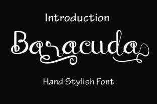 Baraccuda Font: Elevating Campaign Visuals with Classy Script