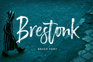 Brestonk Font Review: Warm Script for Web Design
