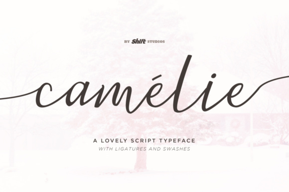 Camelie Font: Adding Feminine Charm to Brand Identity