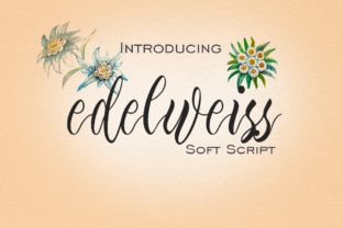 Edelweiss Font: A Web Designer’s Layout Review