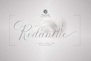 How Rodanthe Duo Became My Go-To Font for Campaign Visuals