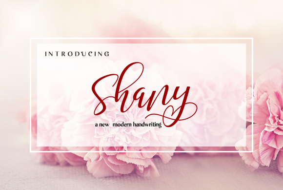 Shany: A Designer’s Review for Real Projects