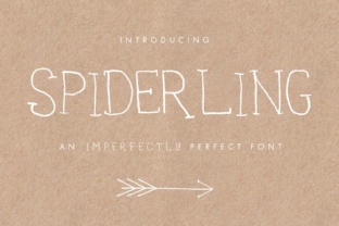 Spiderling Font: Adding Handwritten Charm to Web Design